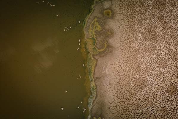 Water drought dried up reservoirs in Spain's Cordoba region