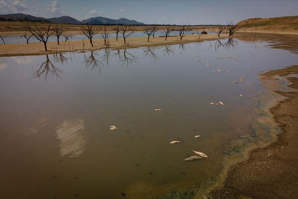 Water drought dried up reservoirs in Spain's Cordoba region