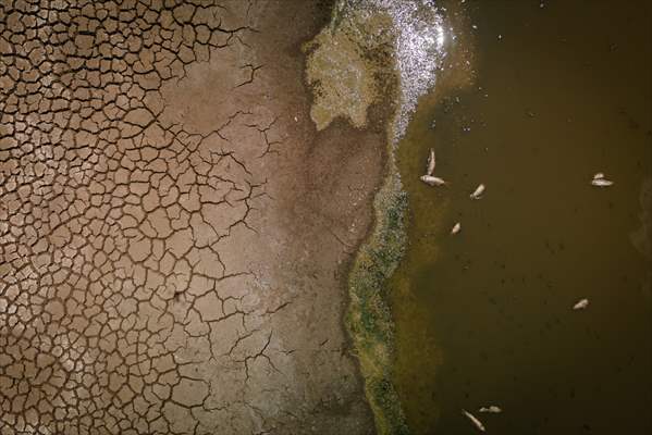 Water drought dried up reservoirs in Spain's Cordoba region