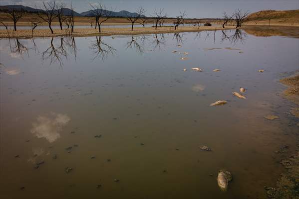 Water drought dried up reservoirs in Spain's Cordoba region