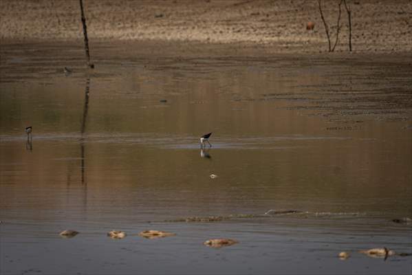 Water drought dried up reservoirs in Spain's Cordoba region