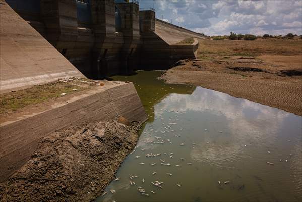 Water drought dried up reservoirs in Spain's Cordoba region