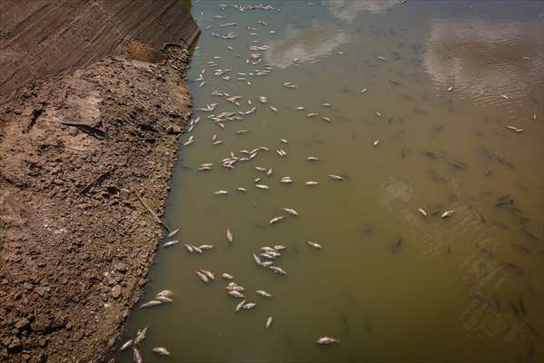 Water drought dried up reservoirs in Spain's Cordoba region