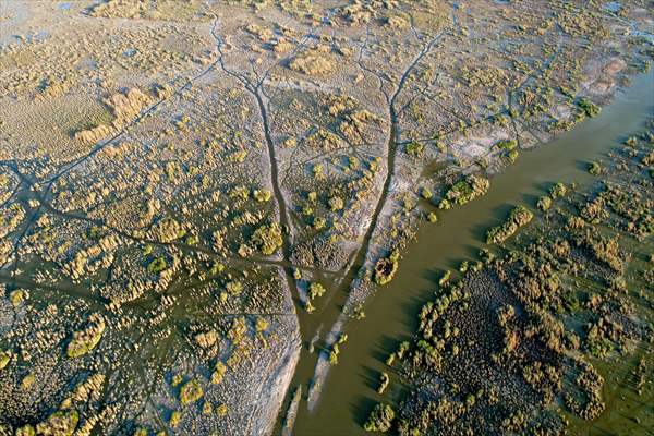 Mesopotamian Marshes under the threat of drought