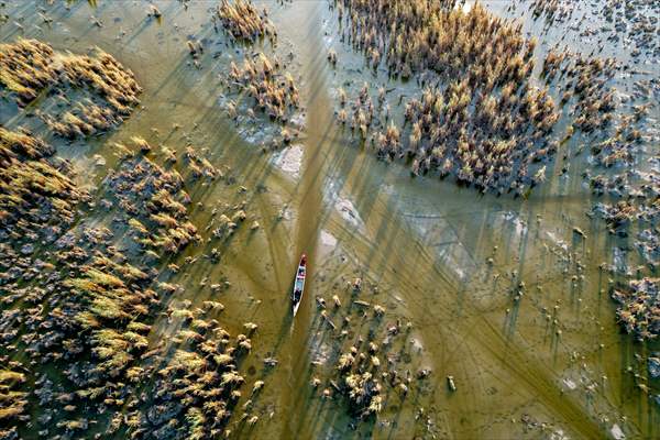 Mesopotamian Marshes under the threat of drought