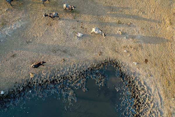 Mesopotamian Marshes under the threat of drought