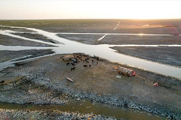 Mesopotamian Marshes under the threat of drought