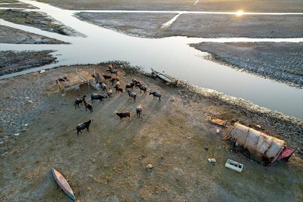 Mesopotamian Marshes under the threat of drought