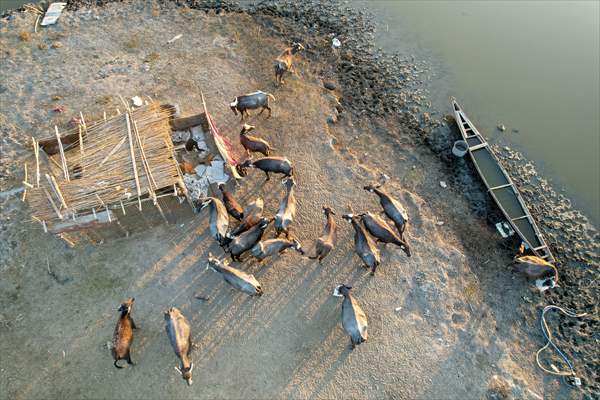 Mesopotamian Marshes under the threat of drought