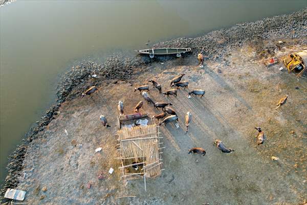 Mesopotamian Marshes under the threat of drought