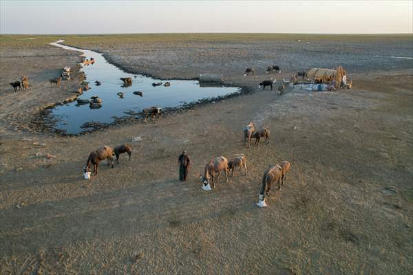 Mesopotamian Marshes under the threat of drought