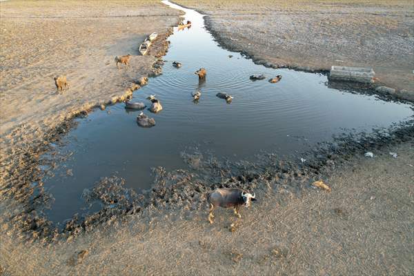 Mesopotamian Marshes under the threat of drought