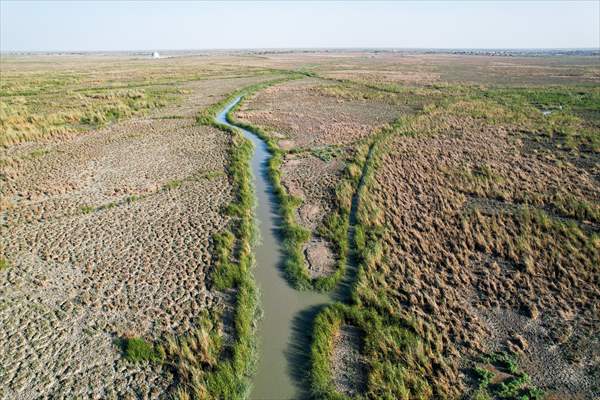 Mesopotamian Marshes under the threat of drought