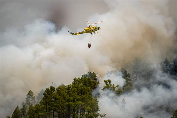 Forest fires in La Palma