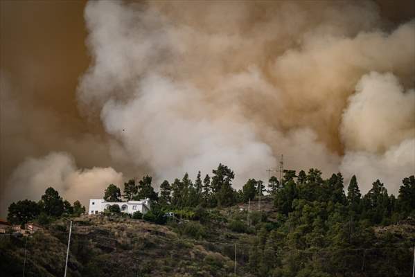 Forest fires in La Palma