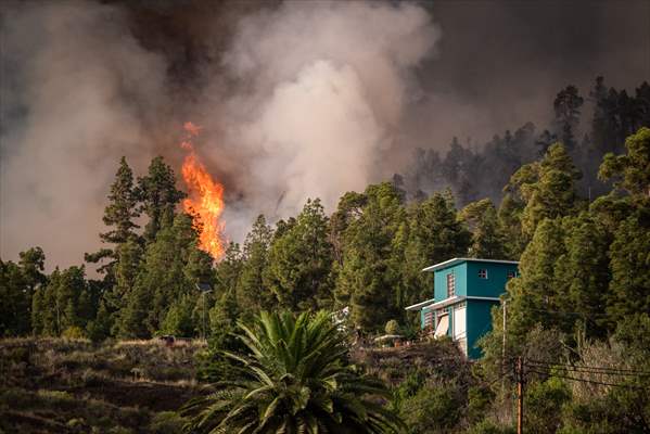 Forest fires in La Palma