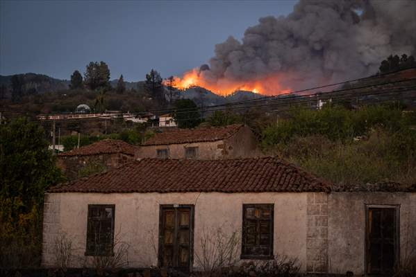 Forest fires in La Palma