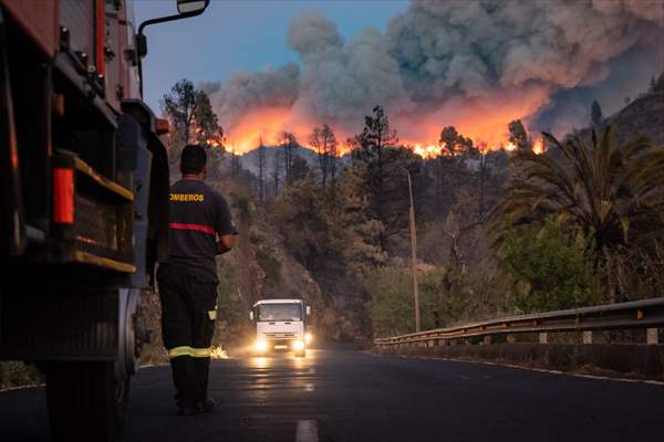 Forest fires in La Palma