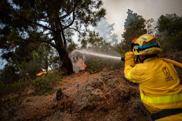 Forest fires in La Palma