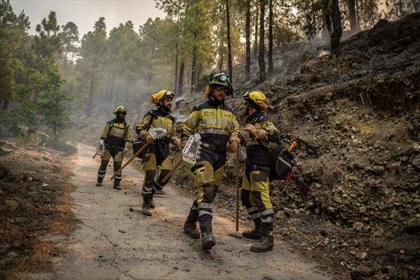 Forest fires in La Palma