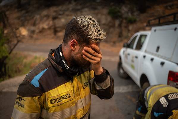 Forest fires in La Palma