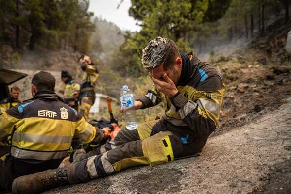 Forest fires in La Palma