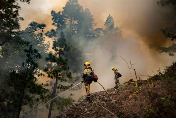 Forest fires in La Palma