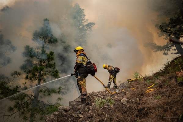 Forest fires in La Palma