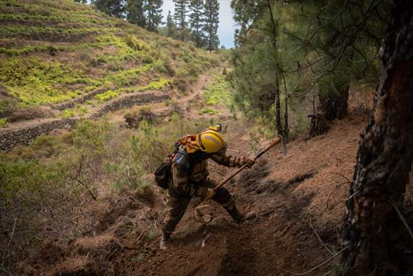 Forest fires in La Palma