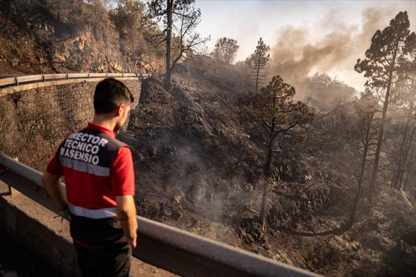 Forest fires in La Palma