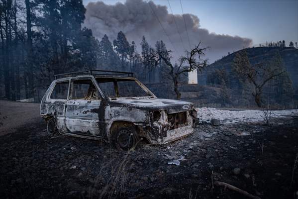 Forest fires in La Palma