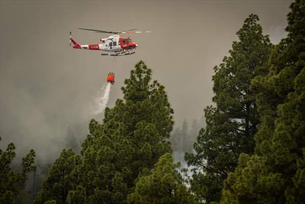 Forest fires in La Palma