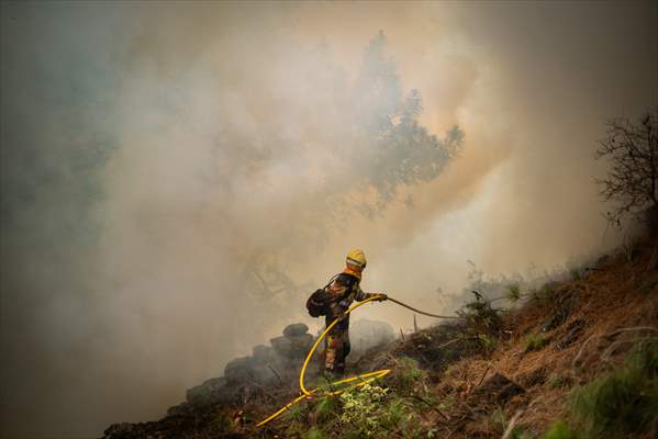 Forest fires in La Palma