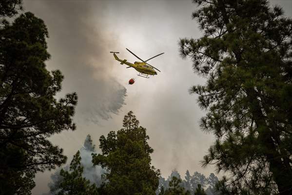 Forest fires in La Palma