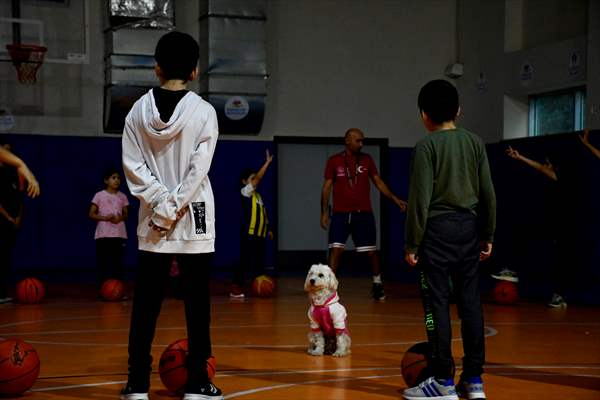 İki aylıkken sahiplenilen köpek 'Mila' gençlik merkezinde 7. yaşına girdi