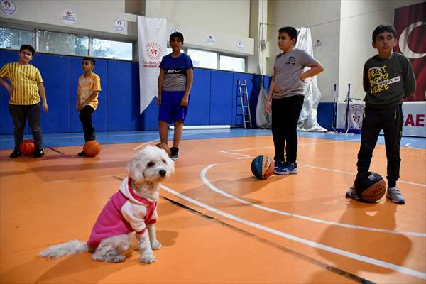 İki aylıkken sahiplenilen köpek 'Mila' gençlik merkezinde 7. yaşına girdi