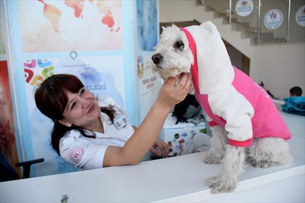 İki aylıkken sahiplenilen köpek 'Mila' gençlik merkezinde 7. yaşına girdi