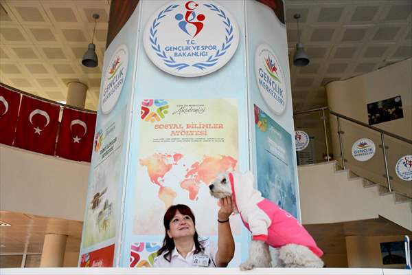 İki aylıkken sahiplenilen köpek 'Mila' gençlik merkezinde 7. yaşına girdi