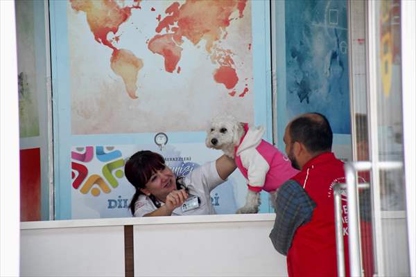 İki aylıkken sahiplenilen köpek 'Mila' gençlik merkezinde 7. yaşına girdi
