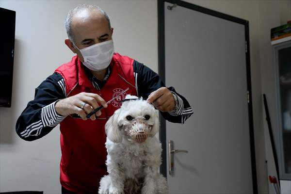 İki aylıkken sahiplenilen köpek 'Mila' gençlik merkezinde 7. yaşına girdi