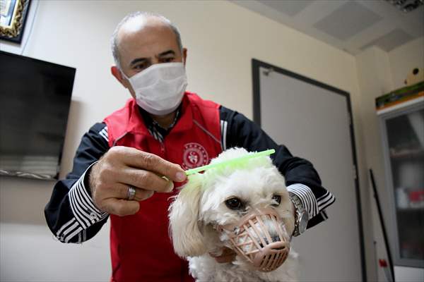 İki aylıkken sahiplenilen köpek 'Mila' gençlik merkezinde 7. yaşına girdi