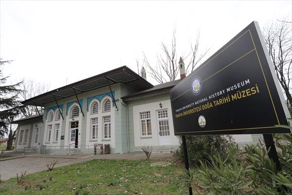 Trakya Üniversitesi Doğa Tarihi Müzesi