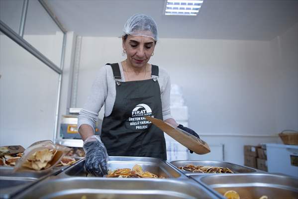 Tunceli'de kurulan meyve sebze kurutma tesisi dar gelirli kadınlara iş kapısı oldu