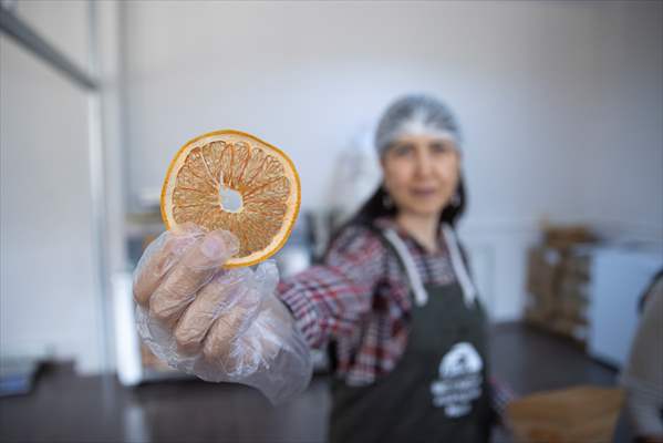 Tunceli'de kurulan meyve sebze kurutma tesisi dar gelirli kadınlara iş kapısı oldu