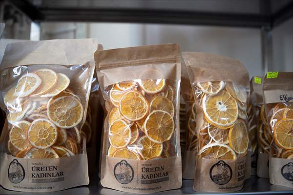 Tunceli'de kurulan meyve sebze kurutma tesisi dar gelirli kadınlara iş kapısı oldu