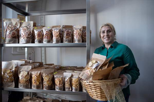 Tunceli'de kurulan meyve sebze kurutma tesisi dar gelirli kadınlara iş kapısı oldu