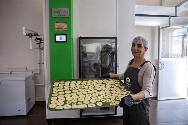 Tunceli'de kurulan meyve sebze kurutma tesisi dar gelirli kadınlara iş kapısı oldu