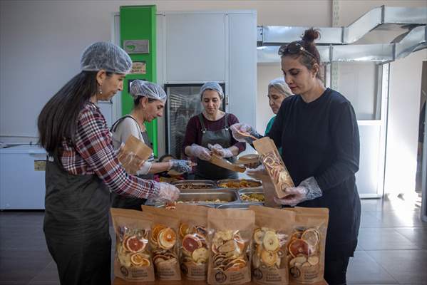 Tunceli'de kurulan meyve sebze kurutma tesisi dar gelirli kadınlara iş kapısı oldu