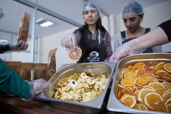 Tunceli'de kurulan meyve sebze kurutma tesisi dar gelirli kadınlara iş kapısı oldu