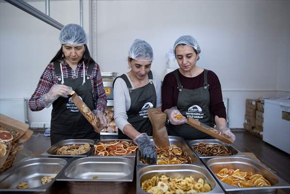 Tunceli'de kurulan meyve sebze kurutma tesisi dar gelirli kadınlara iş kapısı oldu